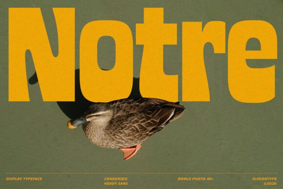 Notre: A Bold Display Typeface for Digital Impact
